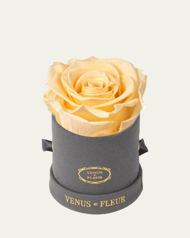 Suede Mini Round Rose Box
